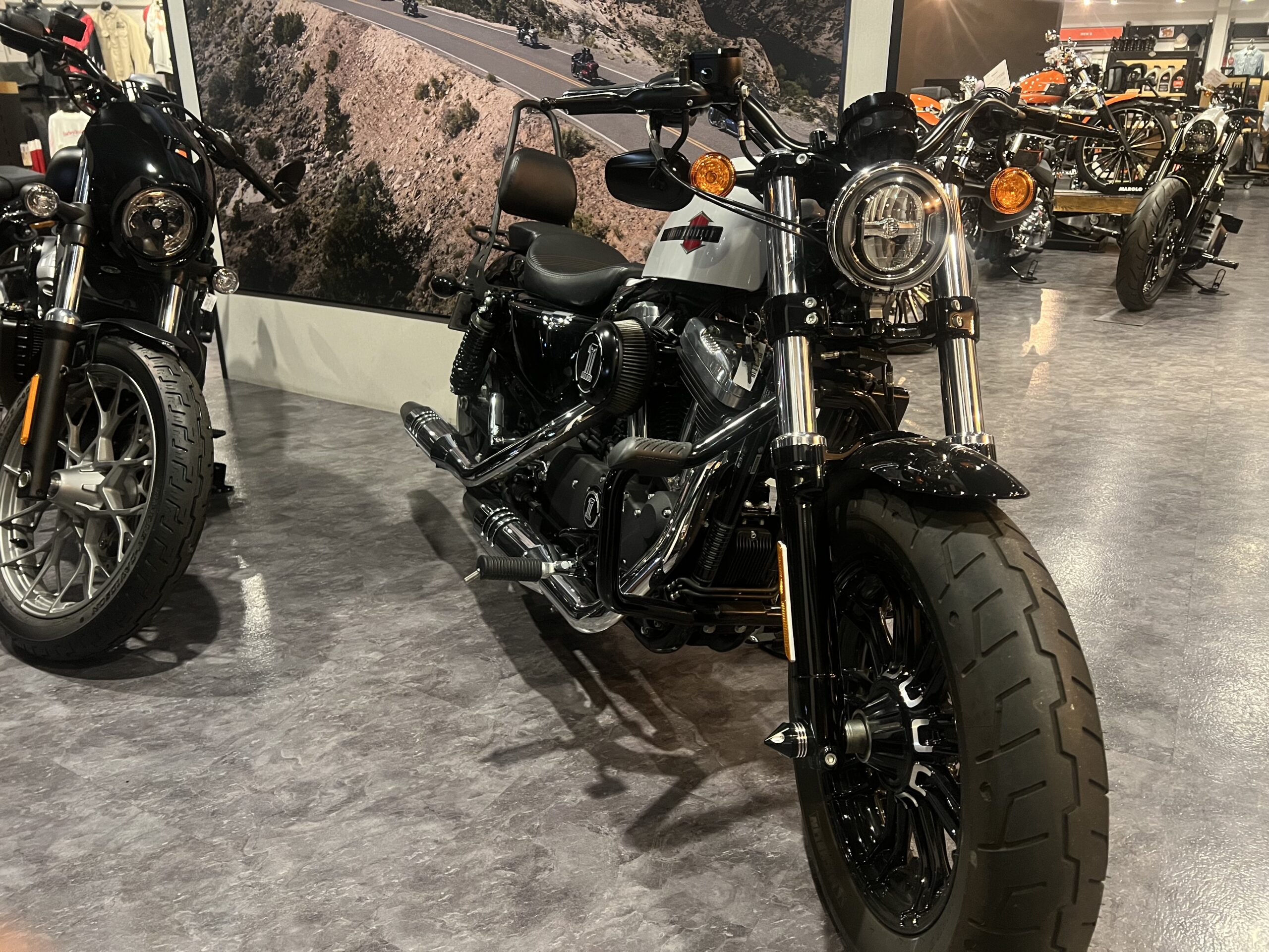 BALCK FRIDAY 衝撃価格 - Harley-Davidson® 成田